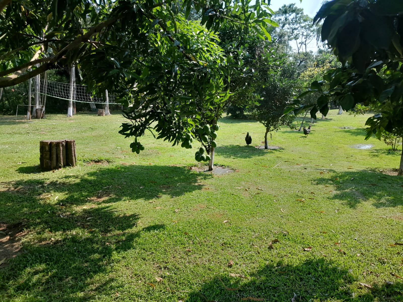 Foto 4